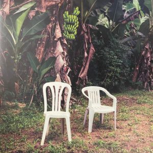 Bad Bunny - Debí Tirar Más Fotos [white vinyl]